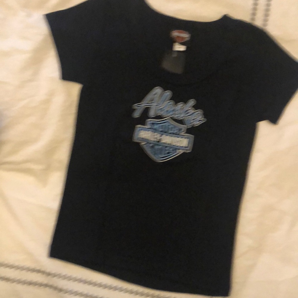 Harley Davidson Alaska shirt sleeve Tee